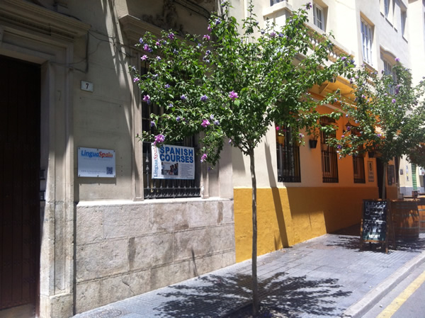 Spanish courses for erasmus in Malaga
